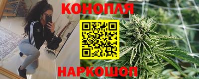 бошки Можга