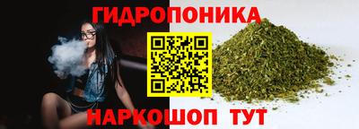 бошки Можга