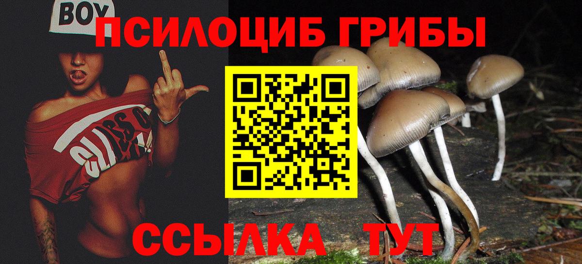 Трёхгорный  Псилоцибиновые грибы мицелий  Вход с VPN 